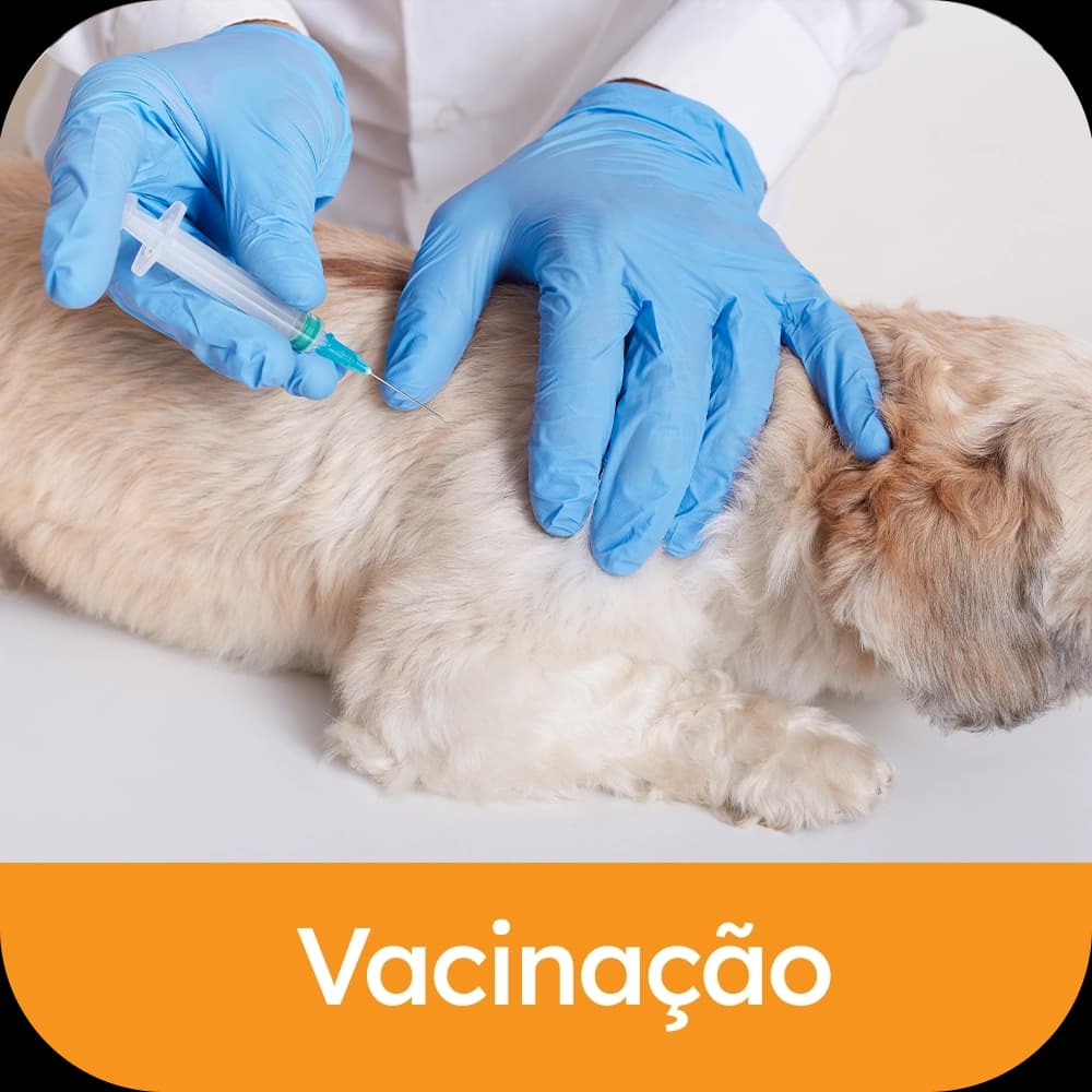 Vacinação